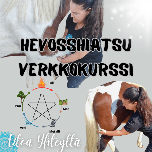 Hevosshiatsu verkkokurssi - Aitoa Yhteyttä