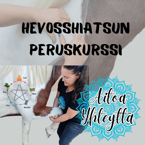 Hevosshiatsun peruskurssi - Aitoa Yhteyttä