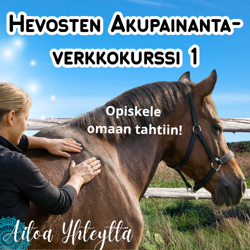 Hevosten Akupainantaverkkokurssi