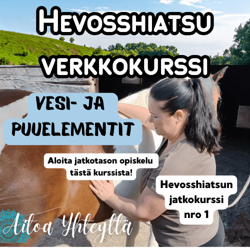 Hevosshiatsu verkkokurssi vesi- ja puuelementit - Aitoa Yhteyttä