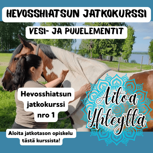 Hevosshiatsun jatkokurssi Vesi- ja puuelementit - Aitoa Yhteyttä