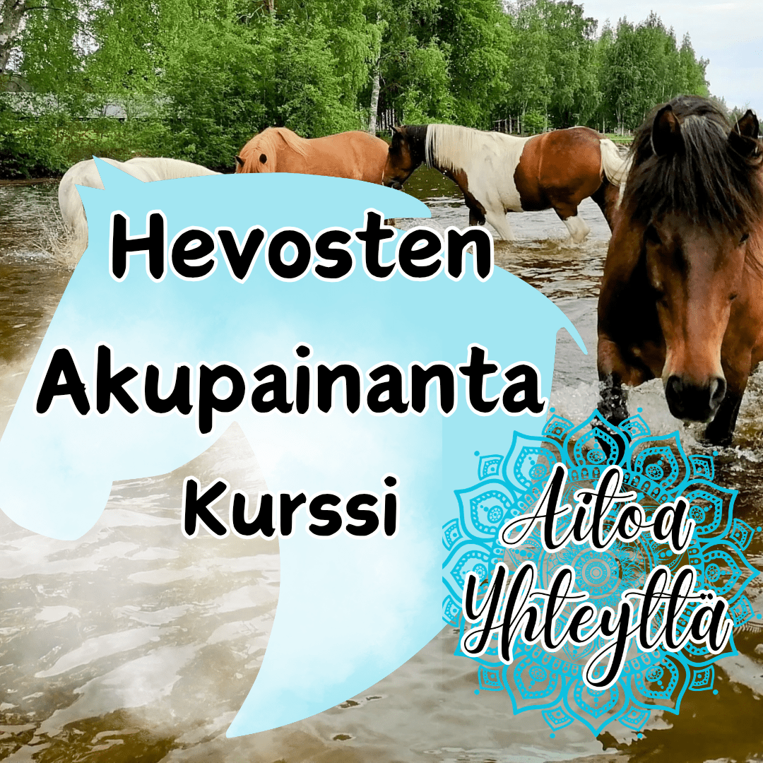 Hevosten Akupainantakurssi - Aitoa Yhteyttä