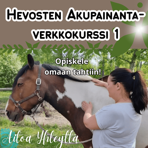 Hevosten Akupainantaverkkokurssi - Aitoa Yhteyttä